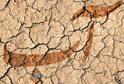 کمبود بی‌صدای آب در مشهد؛ تابستانی سخت با ذخایری محدود