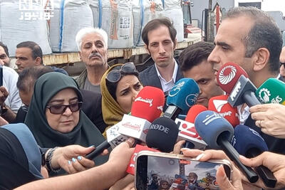 آغاز نشست سخنگوی دولت با فعالین اقتصادی+فیلم