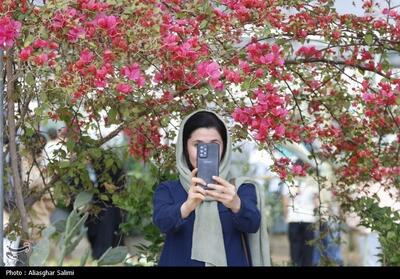 جولان تورهای سیاه گردشگری - تسنیم