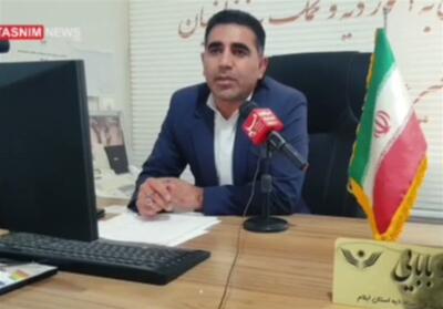 آزادی 19 زندانی جرائم غیرعمد در ایلام - تسنیم