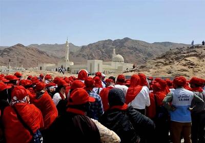 گزارشی از زیارت دوره زائران ایرانی در مدینه‌النبی - تسنیم