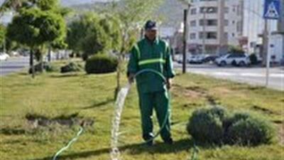 حذف ۱۵۱  انشعاب آب شرب از فضای سبز شهری بیرجند
