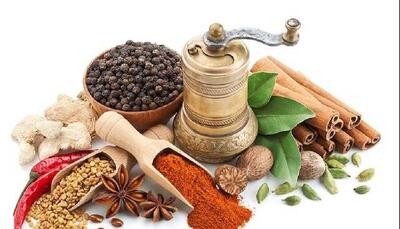 دومین کنگره ملی طب ایرانی، بستری برای تبادل علمی در این حوزه