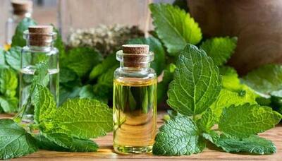 قاتل آلزایمر را بشناسید/ این گیاه برای تقویت حافظه معجزه میکند اندیشه معاصر