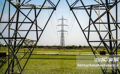 ناترازی برق؛ بحران پنهان در مزارع فارس