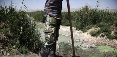 اینجا در بیخ گوش تهران بیماری می‌کارند!
