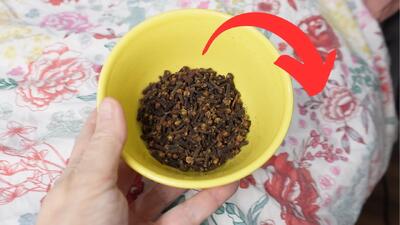 میخک ها را زیر تخت خود قرار دهید / میخک شما را از مشکلات بزرگ دور میکند