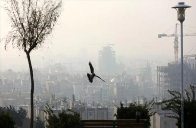 آمار وحشتناک تعداد کودکان فوت شده بر اثر آلودگی هوا در یک سال