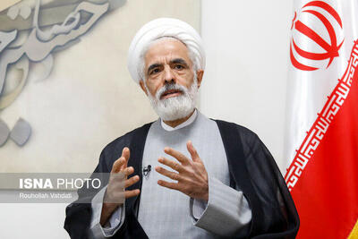 انصاری: استثنائات قانونی چنان زیاد شده که به قاعده بدل شده‌اند
