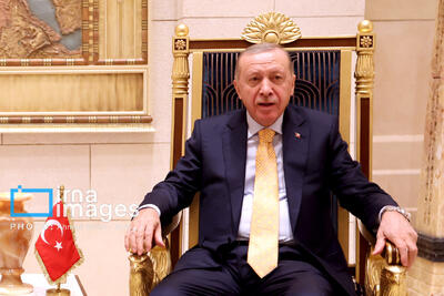 تأکید اردوغان بر کمک  آنکارا برای توقف جنگ اوکراین