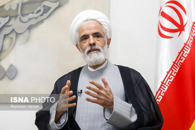 انصاری: استثنائات قانونی چنان زیاد شده که به قاعده بدل شده‌اند