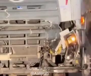 حادثه تلخ در مالزی؛ کامیون بچه‌فیل را زیر گرفت / سوگواری دردناک مادر فیل کنار کامیون تا صبح