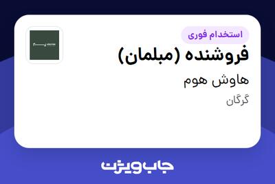 استخدام فروشنده (مبلمان) در هاوش هوم