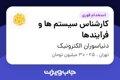 استخدام کارشناس سیستم ها و فرآیندها - خانم در دنیاسوران الکترونیک