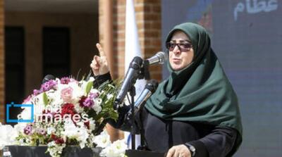 مهاجرانی: دولت صرفه‌جویی در مصرف برق را از خود آغاز کرده - مردم سالاری آنلاین