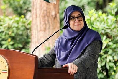 فیلم/ مهاجرانی: امکان دارد به زودی شاهد رفع فیلترینگ باشیم