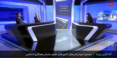 رحمانیان: ایران یکی از پیشروترین کشور‌ها در زمینه آمبودزمانی است