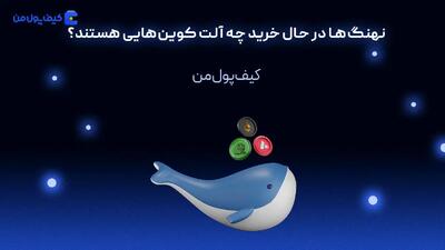 نهنگ‌ها در حال خرید چه آلت کوین‌هایی هستند؟