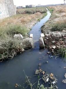 اینجا در بیخ گوش شهر بزرگ تهران  بیماری ها را می‌کارند!/ تصاویر
