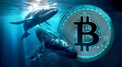 دفاع تمام‌قد نهنگ‌ها از رالی بیت‌کوین؛ ۸.۵ میلیارد دلار BTC دیگر انباشت شد!