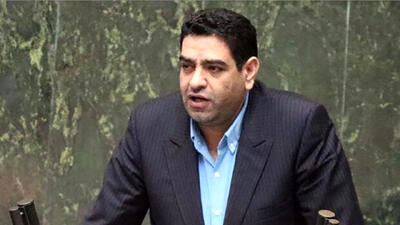 شتابزدگی دولت در پس گرفتن لایحه کرامت زنان علیه خشونت / نماینده مجلس: دولت متن نهایی لایحه کرامت زنان را نخوانده بود