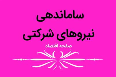 ضرب العجل تبدیل وضعیت نیروهای شرکتی در 1404 | تبدیل وضعیت نیروهای شرکتی؛ بزودی