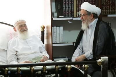 عیادت حجت الاسلام والمسلمین صافی گلپایگانی از حضرت آیت الله نوری همدانی | شفقنا