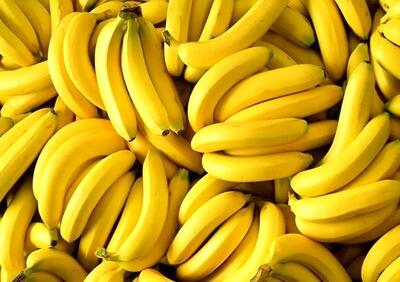 با مجوز سیب، موز وارد کردند
