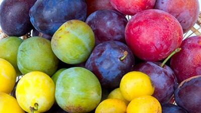 یک میوه خوشمزه برای رفع یبوست