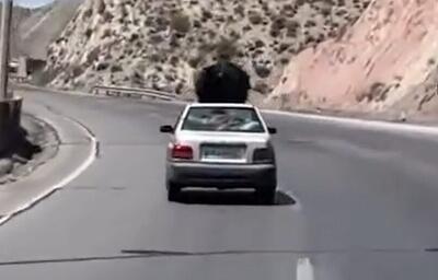 شناسایی و دستگیری راننده و زن بدلکار روی سقف پراید + عکس