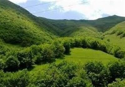 درختانی که دیگر بریده نمی‌شوند/جنگل‌های گلستان نفس می‌کشند - تسنیم