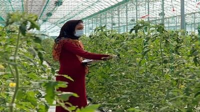 باقی ماندن بیش از ۱۰ هزار میلیارد ریال اعتبار تبصره ۱۸ در ادارات قزوین
