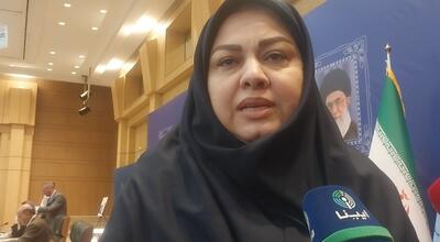 رونمایی از فاز دوم پروژه کارت‌های ایرانی برای گردشگران روسی
