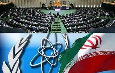 بیانیه مهم نمایندگان برای مقابله با جانبداری‌های آژانس بین المللی انرژی اتمی