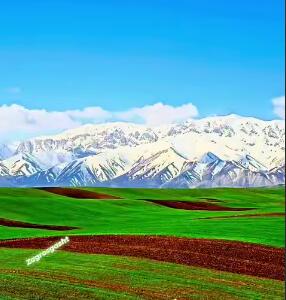 سرزمین باشکوه قالیکوه بهشت این روزهای زاگرس