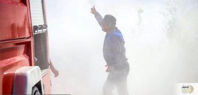 حادثه در باغ معروف تبریز/ کارخانه چوب بری طعمه حریق شد