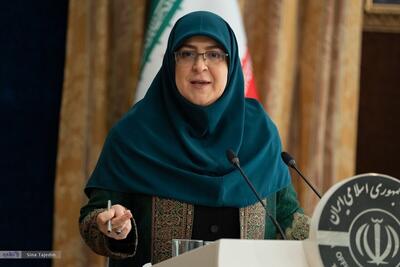 کنایه سخنگوی دولت به ترامپ: ای مگس، عرصه سیمرغ نه جولانگه توست
