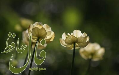 فال حافظ 24 اردیبهشت 1404: در شب هجران مرا پروانه وصلی فرست