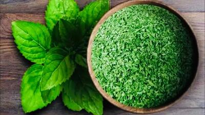 طرز تهیه نعنا خشک خانگی : روش طبعی برای خشک کردن نعنا و راز سیاه نشدن آن