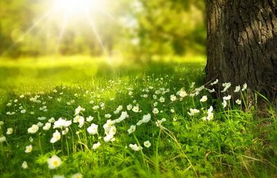 تفال به حافظ شنبه ۲7 اردیبهشت ۱۴۰۴؛ ای صبا گر بگذری بر ساحل رود ارس......