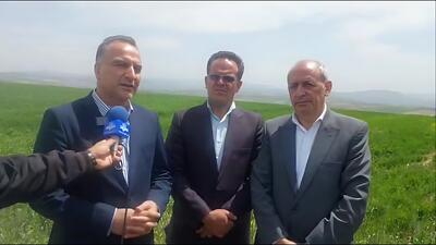 پیش‌بینی تولید ۱۱ میلیون تن گندم در سال جاری