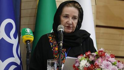 نماینده یونسکو: ادغام دانش بومی و روش‌های نوین برای حفاظت از محیط زیست ضروری است