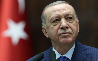 اردوغان از طریق ویدئوکنفرانس در نشست با الجولانی، ترامپ و د بن سلمان شرکت کرد