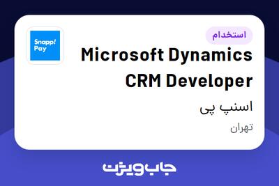 استخدام Microsoft Dynamics CRM Developer در اسنپ پی