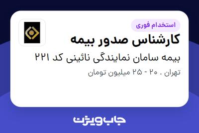استخدام کارشناس صدور بیمه در بیمه سامان  نمایندگی نائینی کد 221