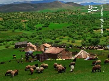 زیبایی زاگرس به روایت تصویر