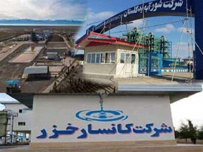 صنعت یُد بدون رعایت تعهدات زیست‌محیطی خسارات جبران‌ناپذیری در پی دارد