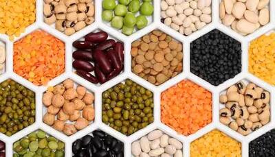 قیمت حبوبات در بازار امروز چهارشنبه۲۴ اردیبهشت ۱۴۰۴/ لوبیاچیتی چند شد؟ + جدول