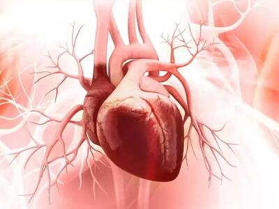 اختلالات قلبی و عروقی با این گیاه بهبود ببخشید