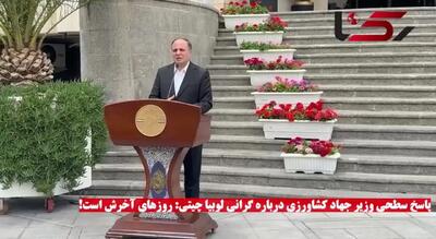 پاسخ سطحی وزیر جهاد کشاورزی درباره گرانی قیمت لوبیا چیتی: روزهای آخرش است!